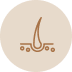 نوع الشعر